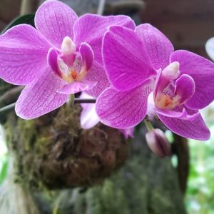 Meet your Posher, Corinne